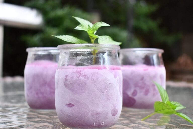 Dairy-free “Lavenberry” Ice cream